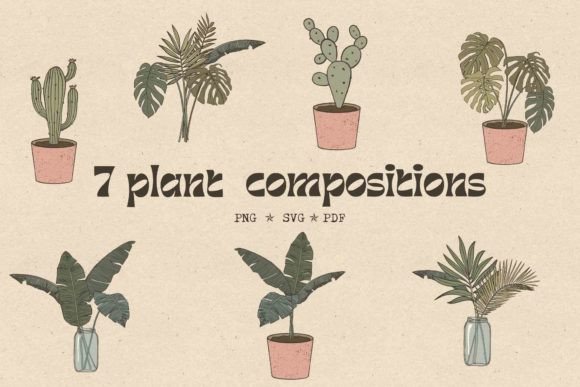Retro Boho Tropical Houseplants Svg Png: A Designer’s Real-World Embroidery Review